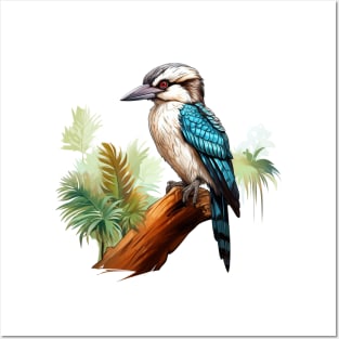 Kookaburra Posters and Art